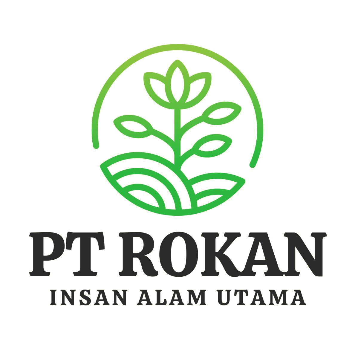 ROKAN Logo
