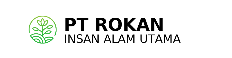 ROKAN Logo